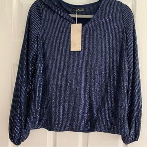 Emery Rose Navy Blue All Sequin Long Sleeve V-Neck Blouse  Women’s Size M